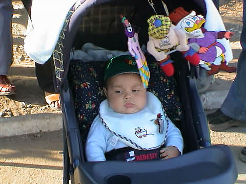 Click en la im&aacute;gen para ir al Indice de la secci&oacute;n